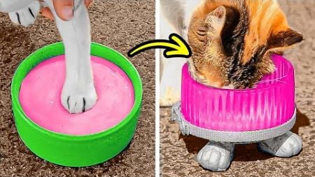 Cute And Simple DIYs For Your Lovely Pets