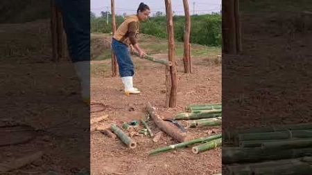 30 days to build a house with bamboo and eucalyptus tree trunks