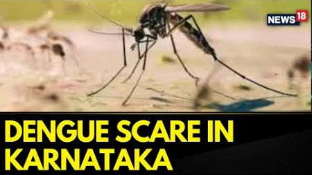 Karnataka Dengue Cases | As The Monsoon Intensifies, Karnataka Has Witnessed A Spike In Dengue
