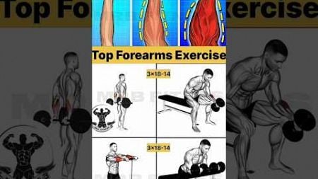 Best Forearms Workout At Home #fitness #gym #workout #forearms #forearms_workout #shorts #viral