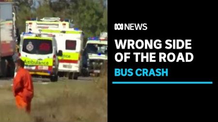 Police confirm Greyhound bus travelled on wrong side of road before fatal crash | ABC News