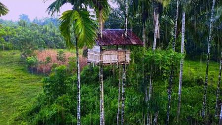 Camping Hujan Deras - Renovasi Shelter Rumah Pohon tua Solo, Tidur nyenyak Sampai pagi ASMR