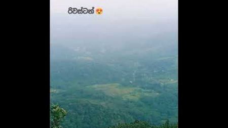 යන්නම ඕන තැනක් 😍 රිවස්ටන් 🌍🌿 Beautiful environment #nature#srilanka#riverstone
