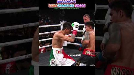 Rey Vargas VS. Mark Magsayo | Highlights #boxing #sports #combat #fight #action