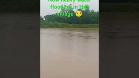 Heavy water flood in this village| Flooding blogs blogging village