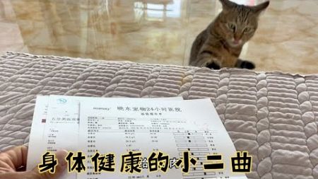 藏猫养病赋闲在家旅行暂停，后台调整收益下降，仰仗铁粉视频支持