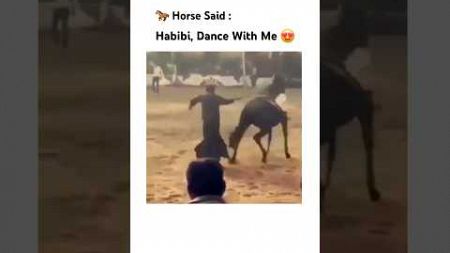 Habibi Come to Dance 😍🤓