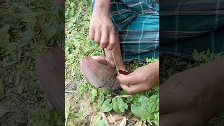 Make Thor&#39;s Bugle Shoes Easily #camping #skill #experiment #forest