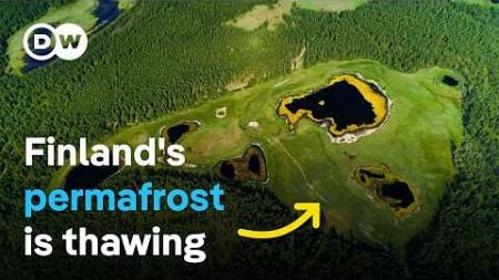 Melting wetlands - How can nature slow down climate change? | DW Documentary