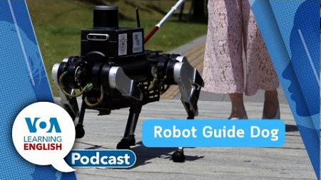 Robot Guide Dogs, South Sudan Animal Migration, Rural Math Contest Winner