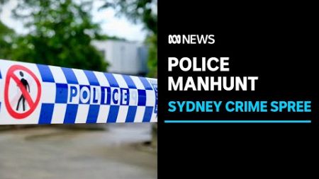 Manhunt under way after armed man targeted women in Sydney crime spree | ABC News