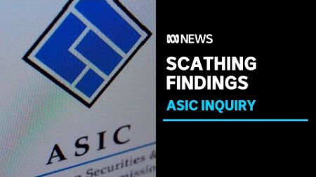 ASIC &#39;way too big&#39; to be successful: Senate inquiry recommends breaking up watchdog | ABC News