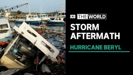 Hurricane Beryl leaves trail of destruction as it moves towards Jamaica | The World