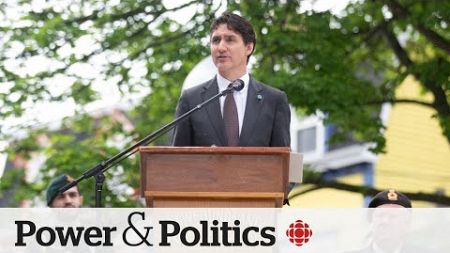 Can Justin Trudeau quell unrest in the Liberal caucus? | Power Panel