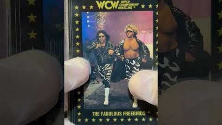 1991 WCW Marketing wrestling card pack opening Retro Rip Pulled a Paul Heyman Rookie card
