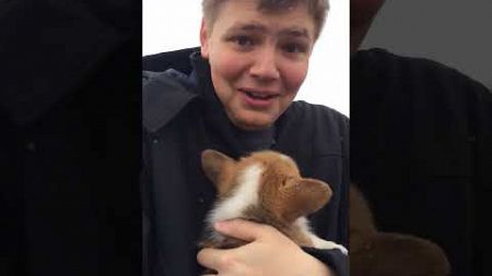 Little Boy Gets Puppy Surprise Of A Lifetime