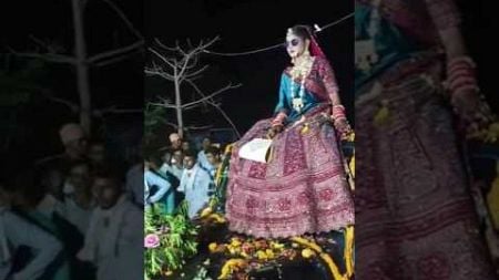 thank you 🙏 #bollywood #dance #hindisong #trending #love #rajasthani #youtubeshorts #wedding