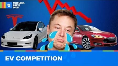 Why Tesla Might Be Losing Its Grip of the EV Market