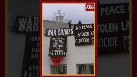 Pro-Palestine Group Scales Roof Of Australian Parliament, Unfurls Anti-Gaza War Banners | WATCH