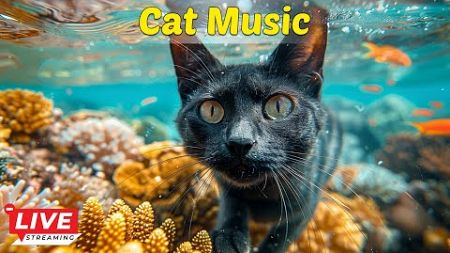 Soothing Cat Melodies: Cat Chill Melodies - Soothing Music for a Tranquil Environment