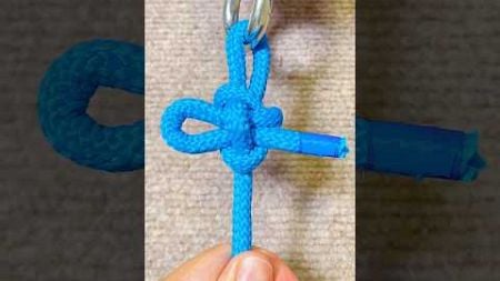 YCB-Knots #555，How to make a chain horse buckle.#diy #viral #shorts#绳结#knots