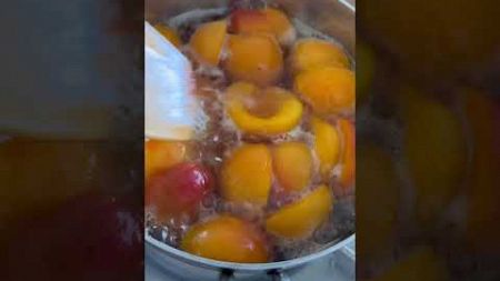 杏の季節 #vegan #おうちカフェ #ナチュラルフード #ヴィーガン #簡単レシピ