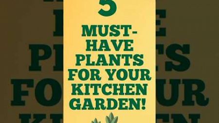 ABSOLUTELY necessary for your garden and well-being #health #agric #garden #seedling #nature