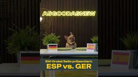 Das Spiel der Spiele! EM-Orakel Bella in Höchstform und mit einer Prognose! ⚽️ #euro2024 #emorakel