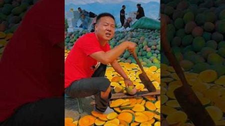 This Japanese boy is earning lakhs of rupees a month by marketing stocked Mangoes 🥭 #shorts #fruit