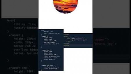 beautiful hover effect on image #webdesign #programming #coding #html #css #shortsfeed #shorts#short