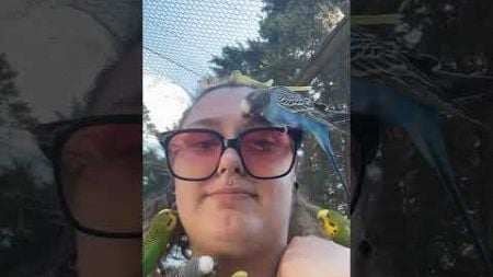 Parakeets Nibble on Woman&#39;s Face and Neck