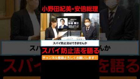 【Part.1】小野田紀美×安倍総理。スパイ防止法を語る。 #国会 #政治