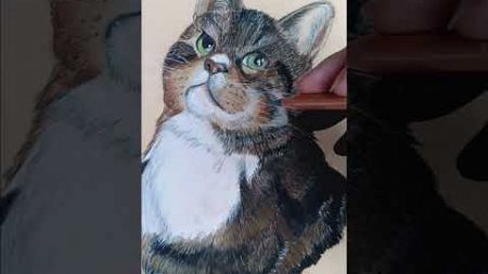 Mijn kat Dj getekend. #cat #tekenen #pastel #art#creatief#kat#huisdieren#