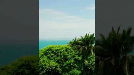 Коста Рика Я забочусь об окружающей среде и делаю свой вклад в её сохранение #костарика #рай