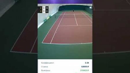 Теннис: секреты успешного подкупа и заработка