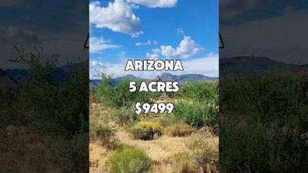 5 Acres in Arizona for 9,499 #foryou #realestate #property #land #shorts #investing #fyp #usa #short