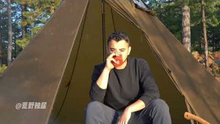 单人冬季丛林营 - 带炉灶的帐篷#荒野独居 #露营 #户外