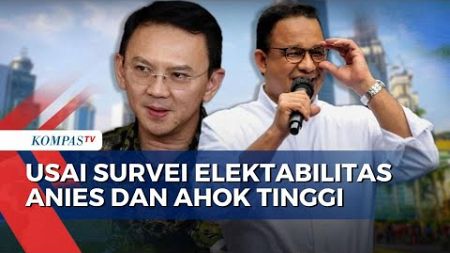 Survei Ungkap Elektabilitas Anies dan Ahok di Pilkada Jakarta Tinggi, Begini Kata Partai Politik