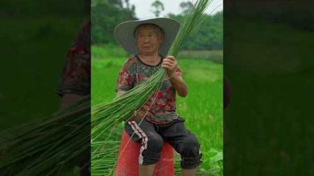 देखिए लाखों में बिकने वाला घास 😯 #thailand #technology