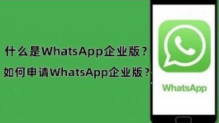 什么是WhatsApp企业版？怎么申请WhatsApp企业版？#whatsapp商业账号#WhatsApp普通账号#whatsapp商业账号认证