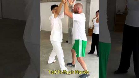 TaiChi push Hands #taichi #kungfu #martialarts #fitness #pushhands