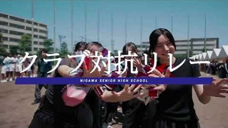 【学校紹介動画】仁川学院－「高等学校 第60回校体育祭」