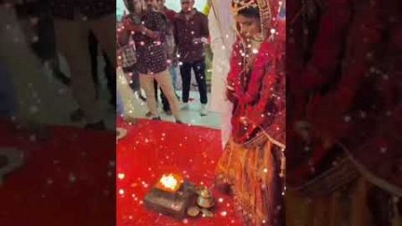 jovase keva nasib vara #shortvideo #trending #gujarati #newvideo #wedding #youtubeshorts #reels