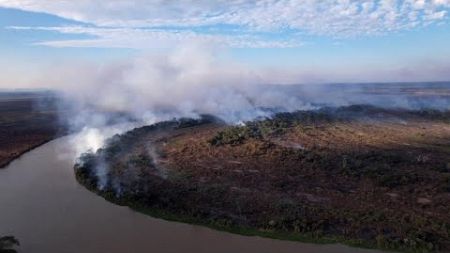 Brazil: The Pantanal, a sanctuary of biodiversity devastated by record fires • FRANCE 24 English
