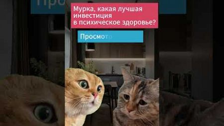 Инвестиция в психическое здоровье! ))) ржу )))) #shorts #юмор #cat #говорящиекоты #memesshort