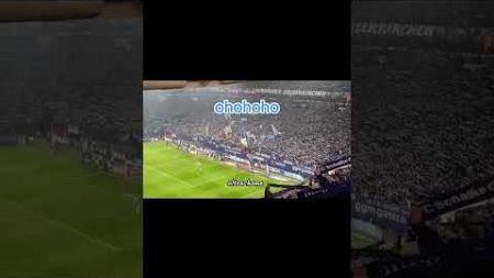 FC Schalke 04 🔵⚪️ #fcschalke04 #schalke #s04 #football #soccer #fans #fußball #ultras #fussball