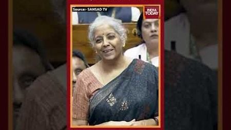 Sir My Mic Is Off: FM Nirmala Sitharaman During Budget 2024 Discussions In Parliament