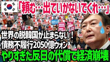 【海外の反応】「日本企業は出て行け！」反日教育しかしなかった末路…あるテーマパークの破綻で世界企業が脱韓国が脱韓国が加速！→韓国経済崩壊の危機！【関連動画2本】