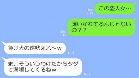 【LINE】私の家からTDLのチケットを奪い旅行に出発したママ友「タダで満喫してくるねｗ」→うまくいったと思って浮かれるアフォ女にある事実を告げた結果ｗ【総集編】