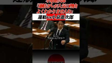 蓮舫vs小泉進次郎 #蓮舫 #小泉進次郎 #政治 #日本政治の希望 #国会